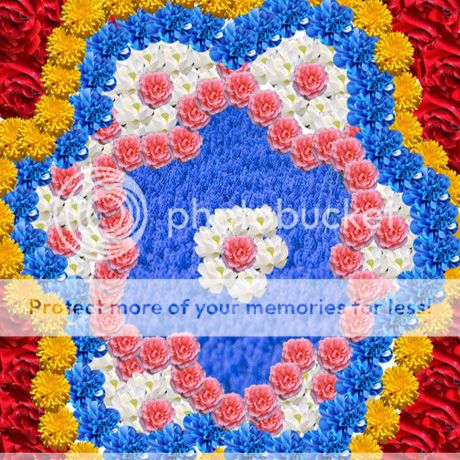  photo 3_zps9838247b.jpg