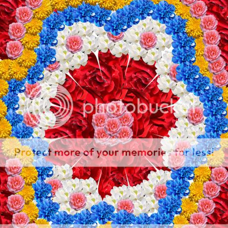  photo 4_zps679828f0.jpg