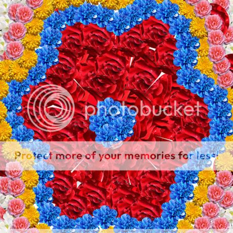  photo 5_zpsd65bd807.jpg