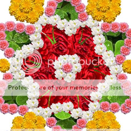  photo 6_zpsb028fe03.jpg