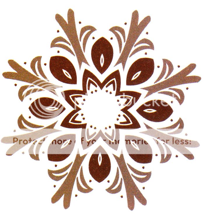  photo flowers_rangoli_8_zps61a34d87.jpg