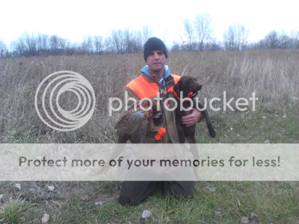 No Wild Pheasants in OH... Ohio Sportsman Your Ohio Hunting and