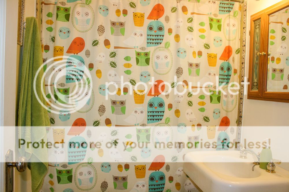 photo Bathroom3_zps0d13cdb8.jpg