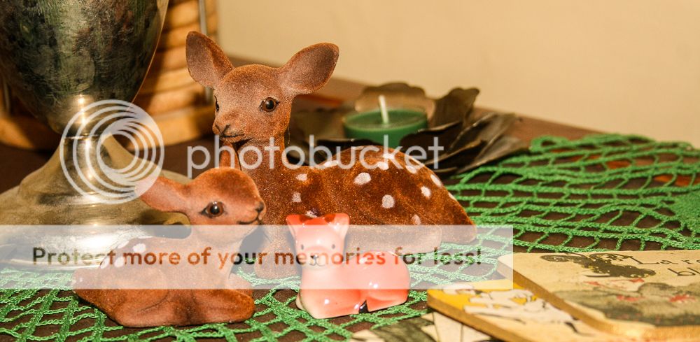 photo Detail_Deer_zps2704f06d.jpg