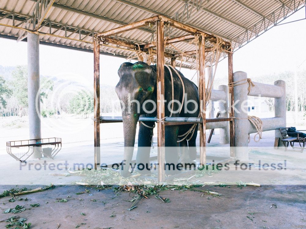  photo R0011357_zps184facb0.jpg