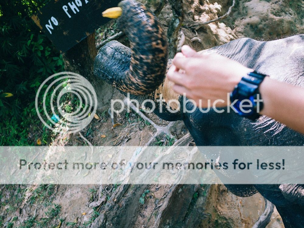  photo R0011369_zps705f0ca8.jpg