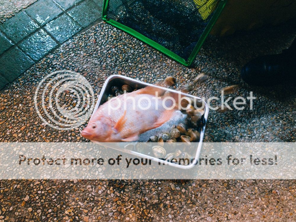  photo R0011501_zps96ddda79.jpg