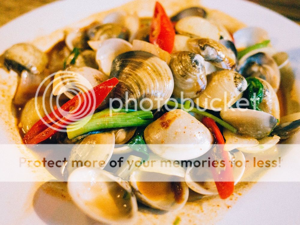  photo R0011503_zps7c759f93.jpg