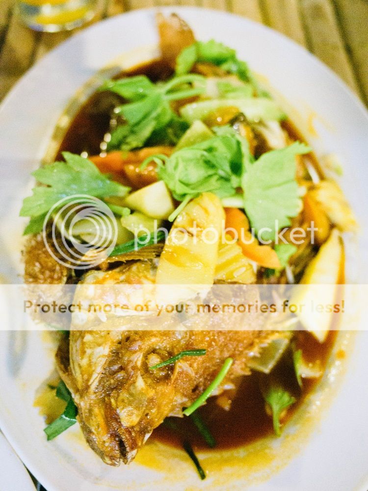  photo R0011508_zps27b19e2e.jpg